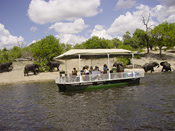 Chobe River safari