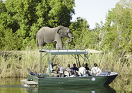 Victoria Falls River Safari