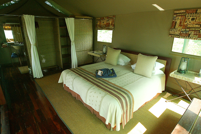 Guest bedroom interior