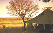 Matetsi Safari Camp accommodates guests in luxury canvas suites