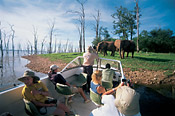 The camp also offers motorized boating in Lake Kariba