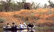 Game viewing from a canoe is a new experience for most guests