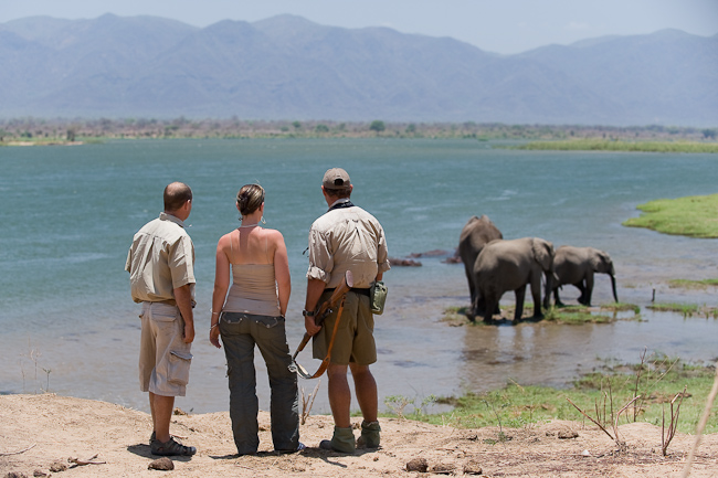 Walking safari along the Zambezi