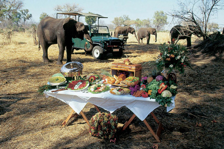 Picnic and Elephants at The Stanley and Livingstone