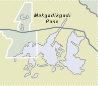 Makgadikgadi Pans and Nxai Pan