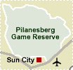 Pilanesberg Game Reserve