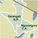 Serengeti, Ngorongoro and Lake Manyara