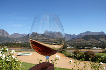 Wine Tasting in Cape Town, South Africa