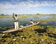 Mekoro excursion in Botswana