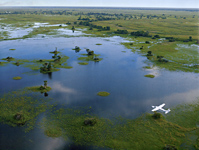 Flying over the Okavango Delta in Botswana