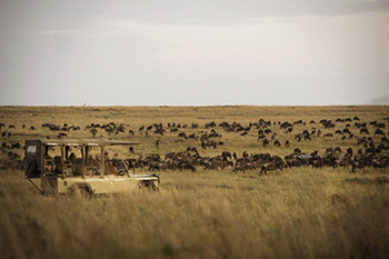 Olakira Camp - Serengeti region, Tanzania