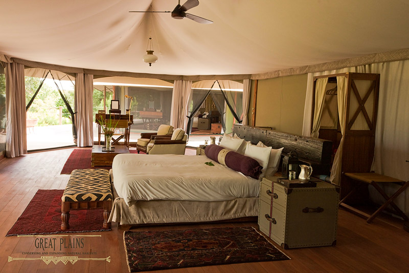 Mara Plains - Guest Tent