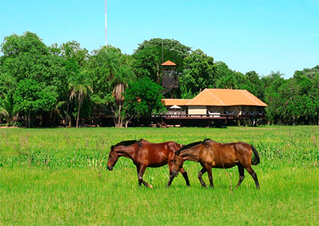 Caiman Private Villa, Pantanal, Brazil