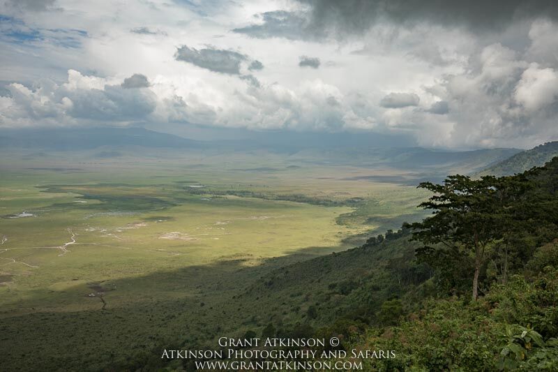 Ngorongoro Crater, Tanzania - Copyright © Grant Atkinson