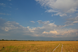 Plains in Zambia