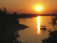 Sunset river cruise in Chobe