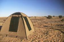 Camping in the Kalahari