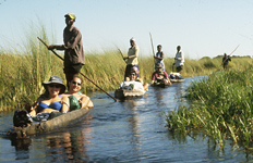 Mekoro safari in the Okavango