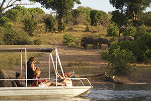 Boat cruise on the Kavango River