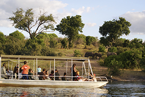 Cruise on the Chobe River