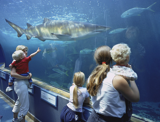 Two Oceans Aquarium in Cape Town