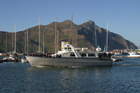 Boat cruise to Duiker Island