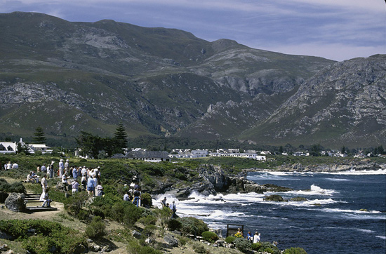 Village of Hermanus and whale watching