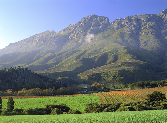 Stellenbosch winelands