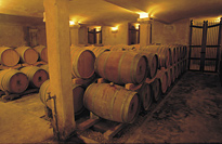 Hamilton Russel estate cellar