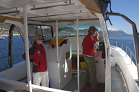 Pelagic birding cruise from Cape Point