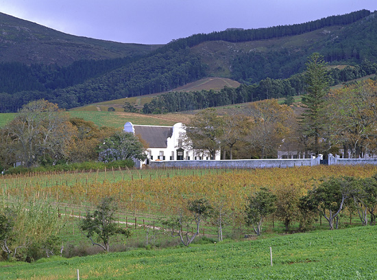 Groot Constantia wine Estate