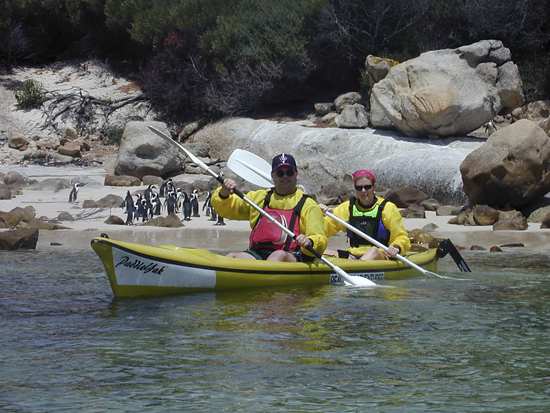 Kayaking with Penguins at Boulders Beach