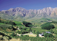Tulbagh Orchards