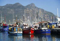 Harbor Cape Town