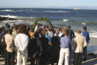 Beach wedding - Cape Town