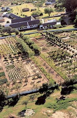 Aerial view of lodge and gardens