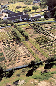 Aerial view - lodge and gardens