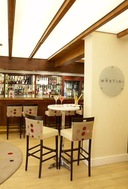 Martini Bar and Lounge