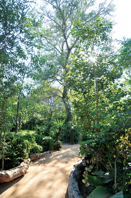 Pathway at Bush Lodge