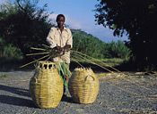 Basket Weaver, Transkei, Eastern Cape, South Africa