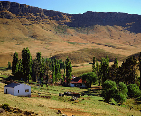 Farm near Elliott, Eastern Cape, South Africa