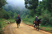 Riding near Hogsback in the Amatola Mountains
