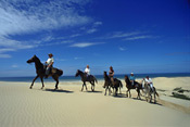 Horseback riding on the beach, Eastern Cape, South Africa