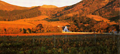 Visit the Cape Winelands