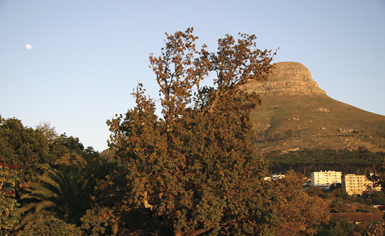 View from Four Rosmead