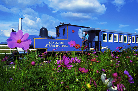 Steam Train - Ficksburg