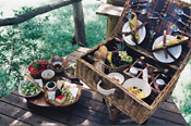 Picnic lunches are a favorite at Garonga Safari Camp