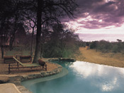 Swimming pool and sun deck, Garonga Safari Camp