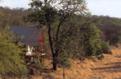 Guest tent, Garonga Safari Camp, Makalali Reserve