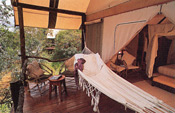 Guest tent and hammock, Garonga Safari Camp